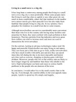 Living in a small town vs  a big city 