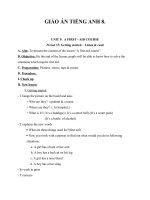 Giáo án Tiếng Anh 8 unit 9: A first  Aid course
