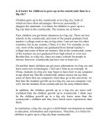 Is it better for children to grow up in the countryside than in a big cit2 