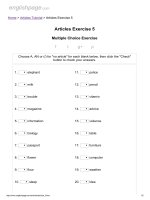 Articles exercise 5 