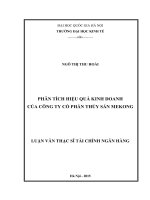 Phân tích hiệu quả kinh doanh của công ty cổ phần thủy sản mekong 