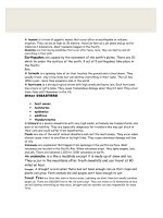 islcollective worksheets elementary a1 preintermediate a2 intermediate b1 adults students with special educational needs 47843427053ef3986997bc5 53972501 