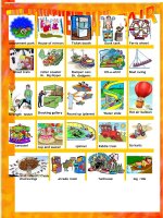 25750 amusement park fair pictionary 