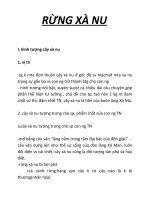 RỪNG xà NU  một trong những bài viết hay