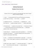 Articles exercise 6 
