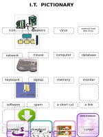 25484 it information technology 