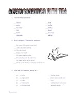 28756 mr beanss sandwich 