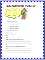 1245 question words worksheet 