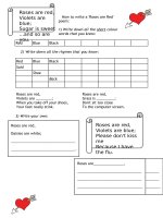 21331 roses are red  writing poems 