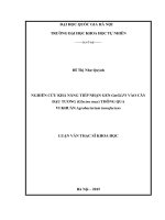 Nghiên cứu khả năng tiếp nhận gen GmGLP1 vào cây đậu tương (glycine max) thông qua vi khuẩn agrobacterium tumefaciens 