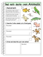 4951 read  match  describe  create animals 3 