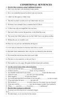 CONDITIONAL SENTENCES