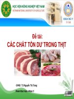 SLIDE các CHẤT tồn dư TRONG THỊT