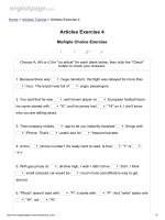 Articles exercise 4 