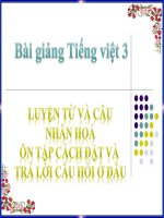 t21 nhan ho on cach dat va tlch o dau 667 1398068245 