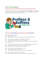 Tiền tố   prefix trong tiếng anh 