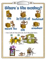 22748 wheres the monkey (1) 