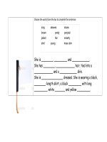 13020 what do they look like 