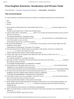 The environment   free english grammar, vocabulary and phrase tests 