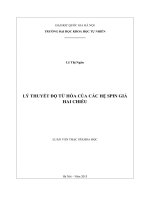 Lý thuyết độ từ hóa trong hệ spin giả hai chiều 