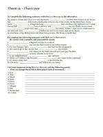 there is there are (1) 