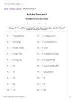 Articles exercise 3 