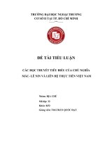 Tiểu luận các học thuyết tiêu biểu  của chủ nghĩa Mac-Lênin và liên hệ thực tiễn việt nam