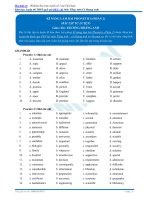 Bài tập kỹ năng làm bài phonetics phần 2 