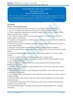 Bài tập sự hòa hợp giữa chủ ngữ và động từ 