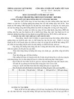 mẫu :BAO CAO CUA BAN THANH TRA NHAN DAN