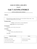 Giáo án Tiếng Anh 9 unit 7: Saving energy