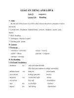 Giáo án Tiếng Anh 8 unit 15: Computers