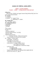 Giáo án Tiếng Anh 9 unit 7: Saving energy