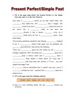 7333 present perfect vs simple past 