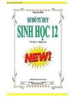 SƠ đồ tư DUY SINH học 12 