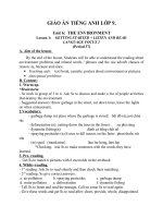 Giáo án Tiếng Anh 9 unit 6: The environment