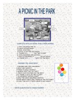 563 a picnic in the park 