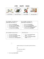 34670 much many a lot of 