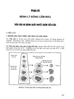 EBOOK bài GIẢNG HUYẾT học   TRUYỀN máu SAU đại học PHẦN 2   đh y hà nội 