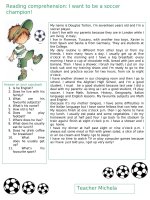 68634 reading comprehension i want to be a coccer champion 