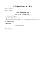 Giáo án Tiếng Anh 8 unit 14: Wonders of the world