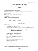 Giáo án Tiếng Anh 8 unit 14: Wonders of the world