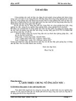Thiết kế công nghệ sản xuất ống dẫn nước theo phương pháp dẻo (thuyết minh+bản vẽ)