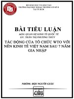 Tác động của WTO với nền kinh tế việt nam sau 7 năm gia nhập