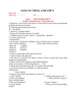 Giáo án Tiếng Anh 9 unit 6: The environment