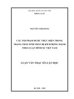 Các tội phạm được thực hiện trong trạng thái tinh thần bị kích động mạnh theo luật hình sự việt nam 