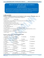 Bài tập tính từ và các kiến thức liên quan phần 2 