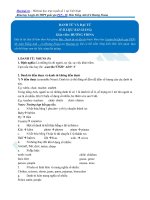 Danh từ và đại từ trong tiếng anh 