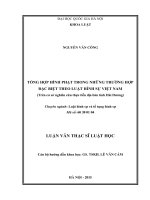 Tổng hợp hình phạt trong những trường hợp đặc biệt theo luật hình sự việt nam (trên cơ sở nghiên cứu thực tiễn địa bàn tỉnh hải dương) 