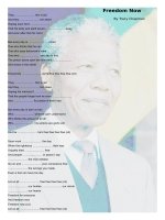 17043 freedom now  tracy chapman 